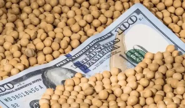 没法解释了——6.9万吨巴西大豆在泰州卸货时，夹带的10吨药麦像一根引信，瞬间引