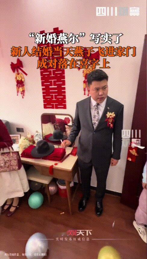 “太神奇了！”陕西西安，新人大喜之日，新郎刚刚娶亲回来，就有一对燕子飞进婚房，转