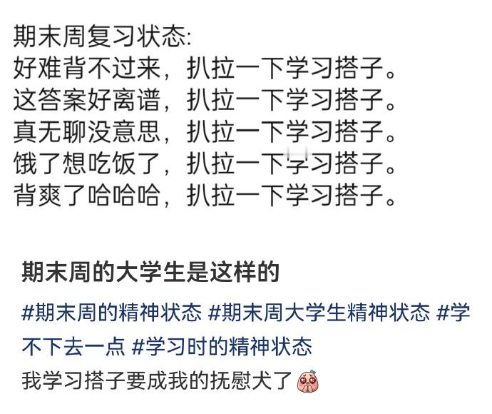 期末周的大学生是这样的