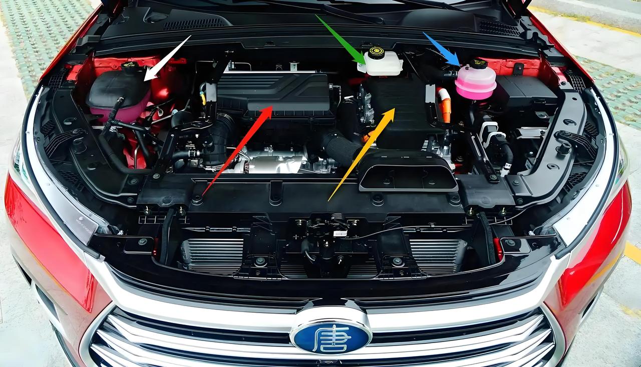 不知道你有没有发现？对日本打击很痛的不是别人，是那个比亚迪王传福，他让在中国布局