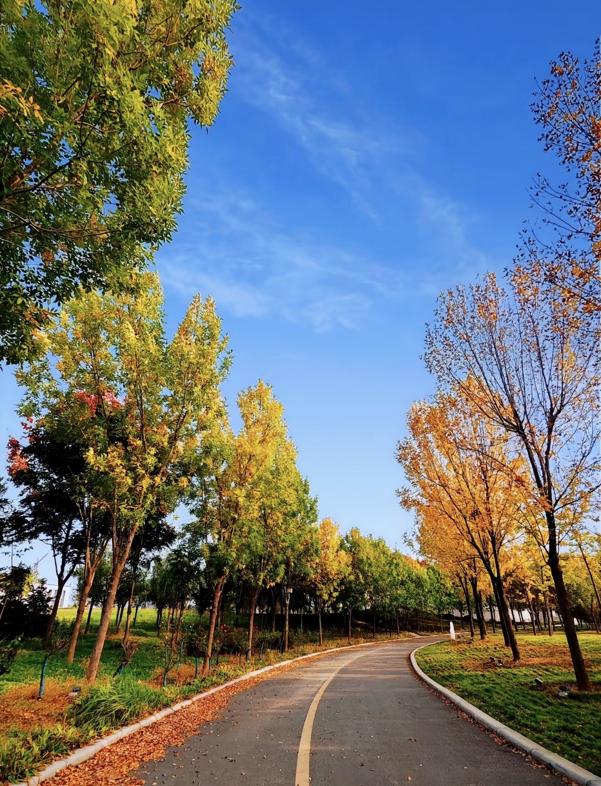 昨晚我跟老公说：“最近都是你妈在买菜，转点钱给她当生活费吧。”老公立马反驳：“不