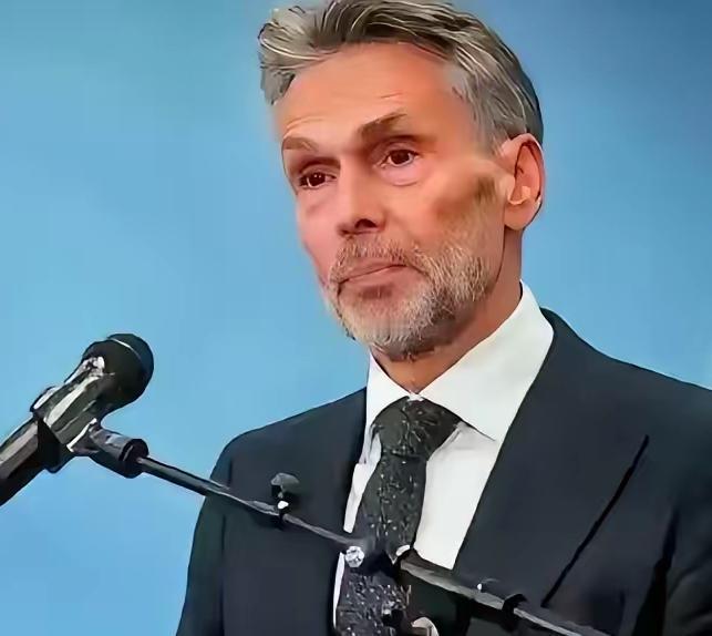 荷兰这次对中国的强硬，超出了外界想象。这哪是博弈，简直是疯了！前脚刚说“脱