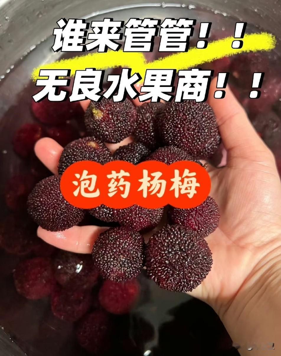 我的朋友在泉州晋江一个镇政府工作，他那地方就是杨梅产地，他说杨梅摘下来，如果没有