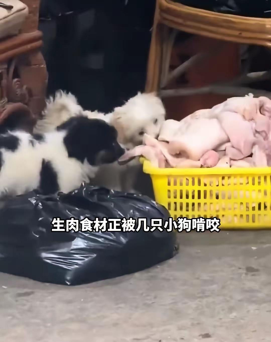 合肥七万卤菜店接连踩坑，两大问题一并被查处，老板接连收到两条坏消息。平日里店