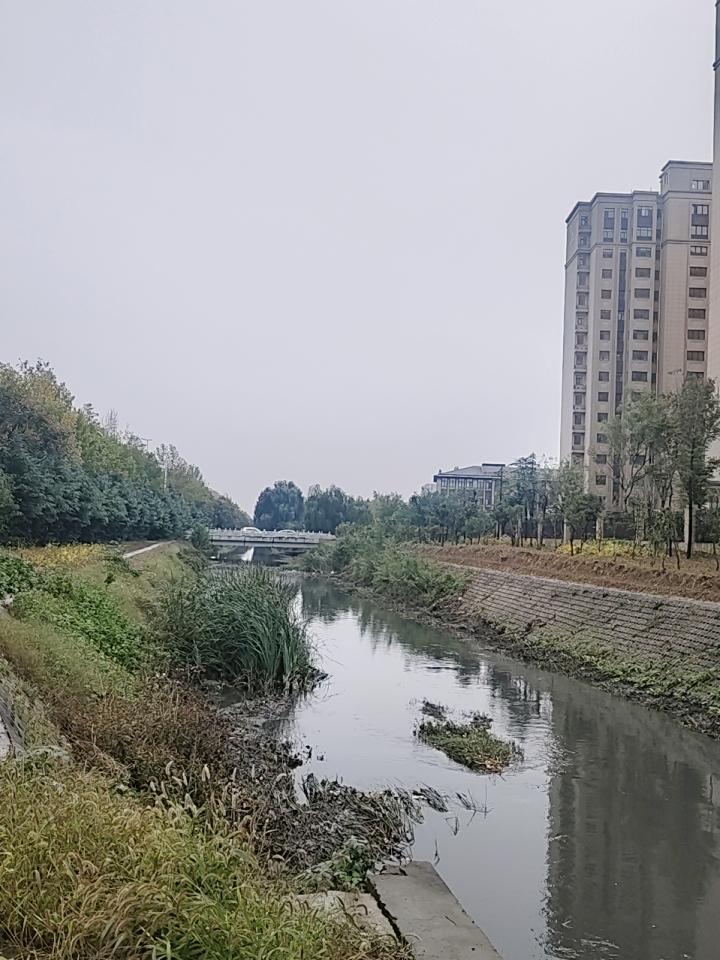 人到中年，连一场说走就走的旅行都成了奢侈，心里满是负罪感。目光所及，是父母的体检