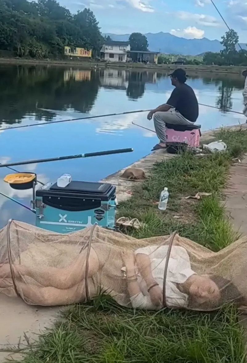 钓鱼界已卷成这样了