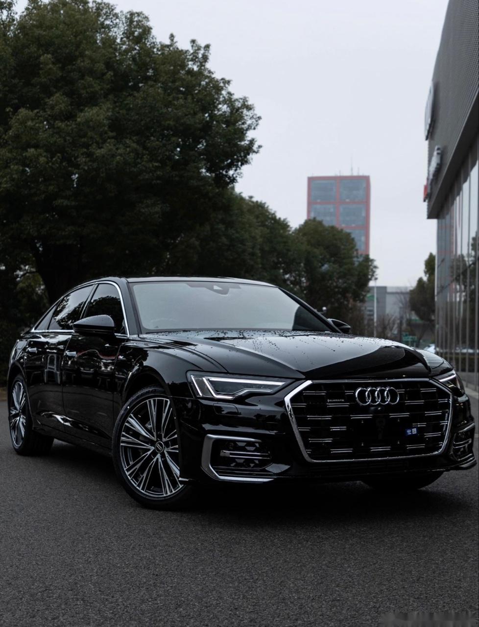 2025年1月上牌的奥迪A3，两万公里，黑色车身，状态很好。车子是一手车，平时都