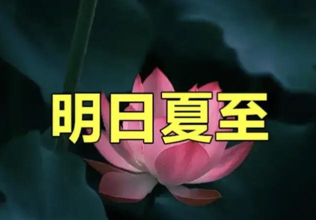明日夏至，有空没空，记得：1不理、2不坐、3不动、4要碰，安稳度夏明日便是