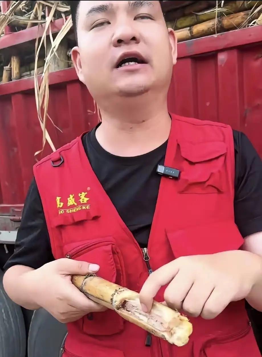全网心疼！广东化州耀明糖厂暖心助农收滞销甘蔗，本是满满善意之举，却遭不少人投机取
