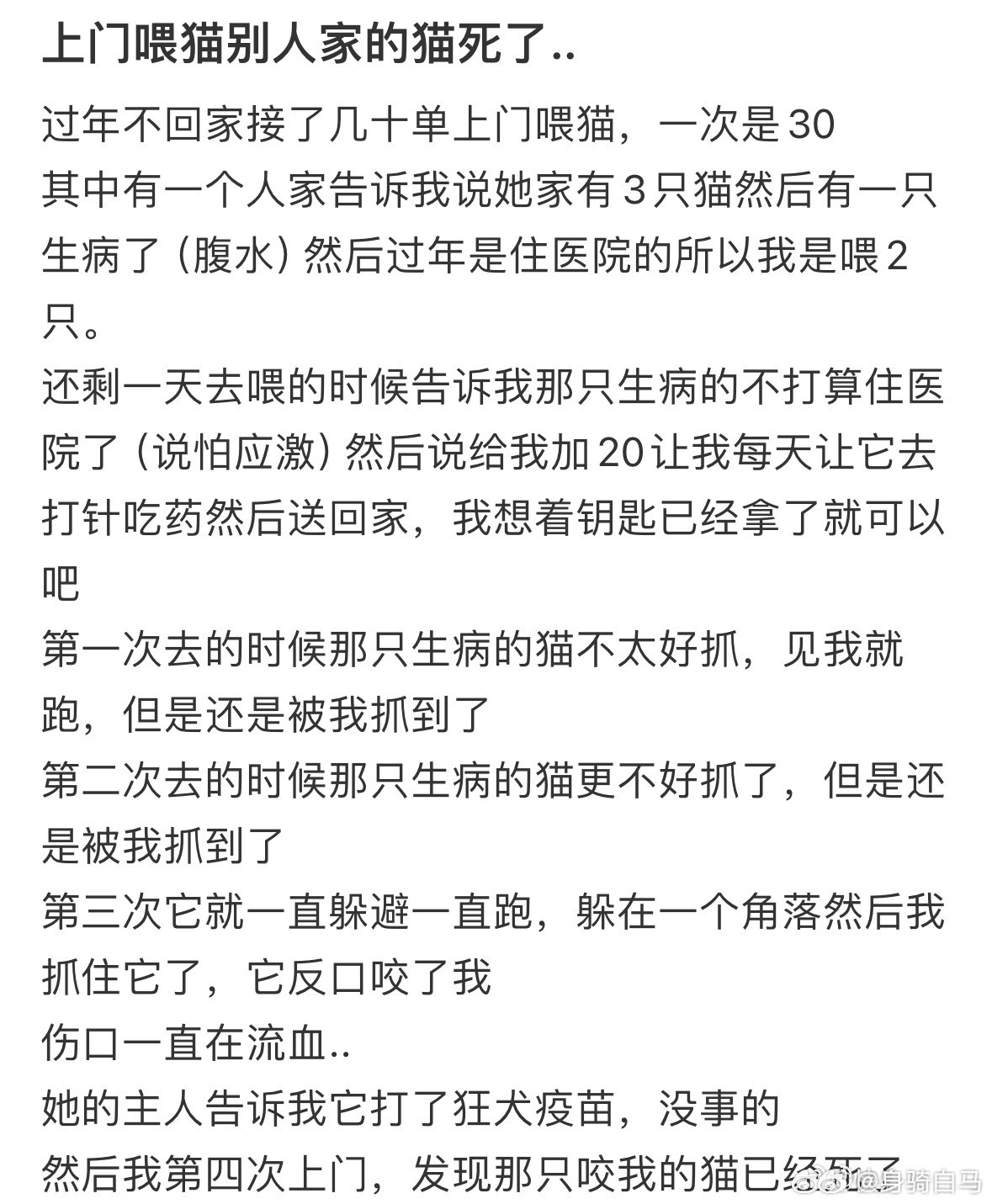 上门喂猫，别人家的猫死了