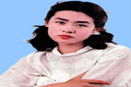 1982年，一部名叫《牧马人》的电影横空出世，女主从珊一举成名，却不堪压力，当红