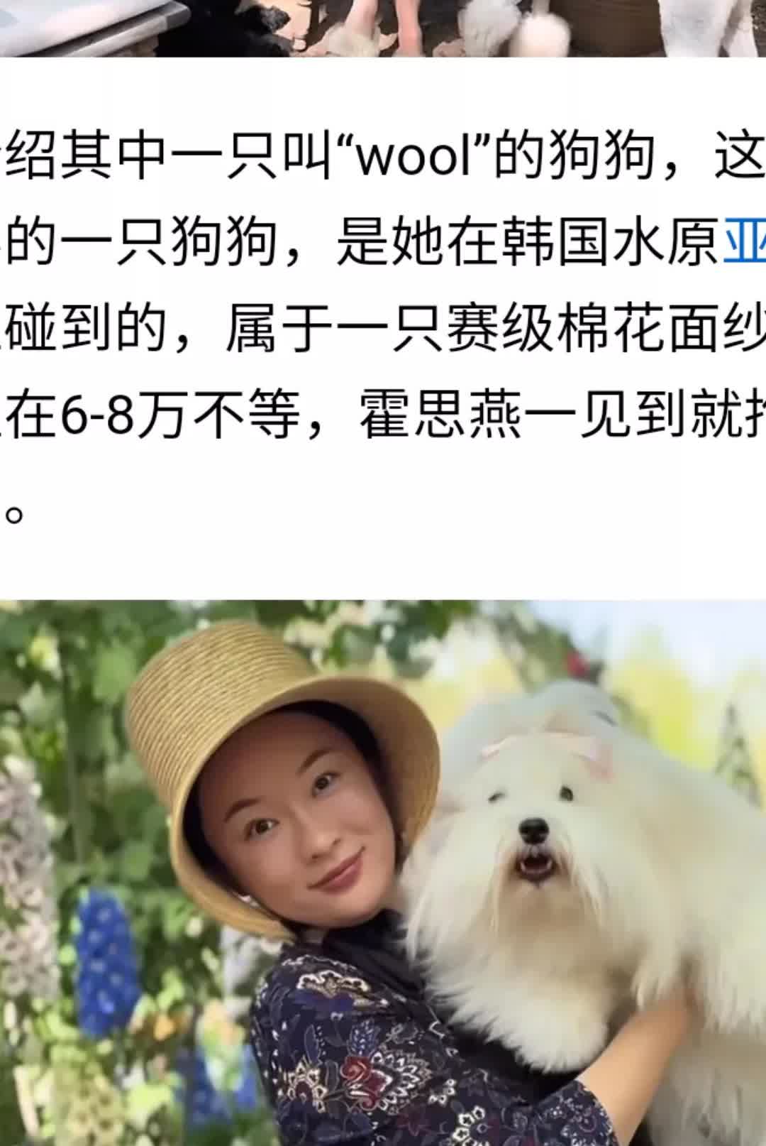 霍思燕现在在京郊的别墅过着悠然自得的生活，她每天早晨第一件事就是喝茶，而且陪她喝