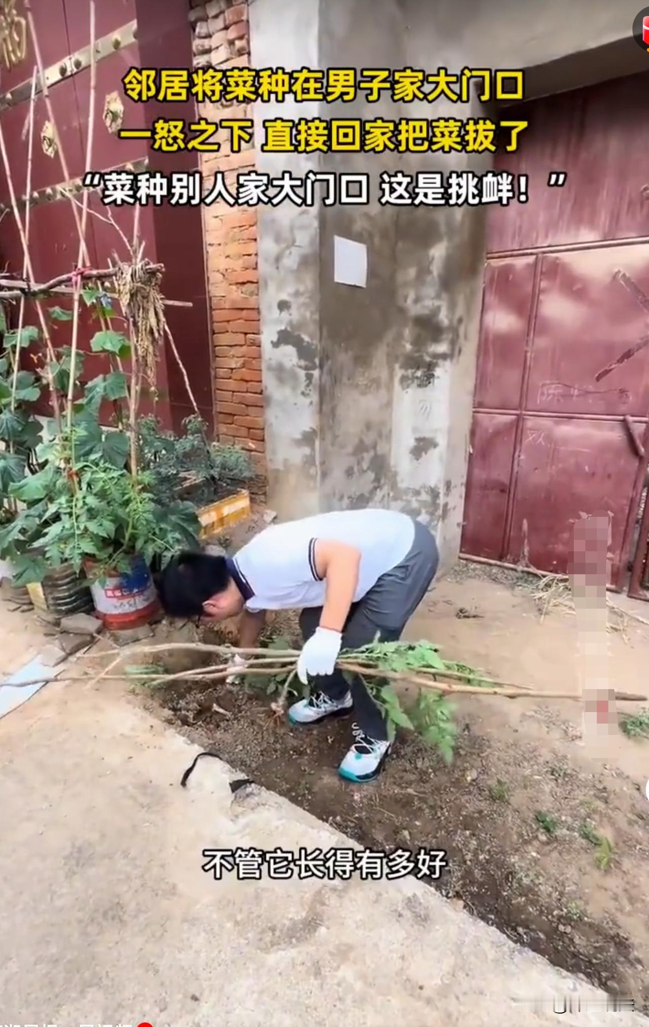 河南，男子常年外出工作，回到老家发现邻居将菜种在自己家院墙外面，就连大门口都被堵