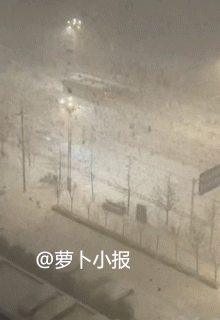 山东其他地市的兄弟姐妹实名羡慕了。昨夜今晨，威海烟台降下倾盆大雪，威海积雪达2