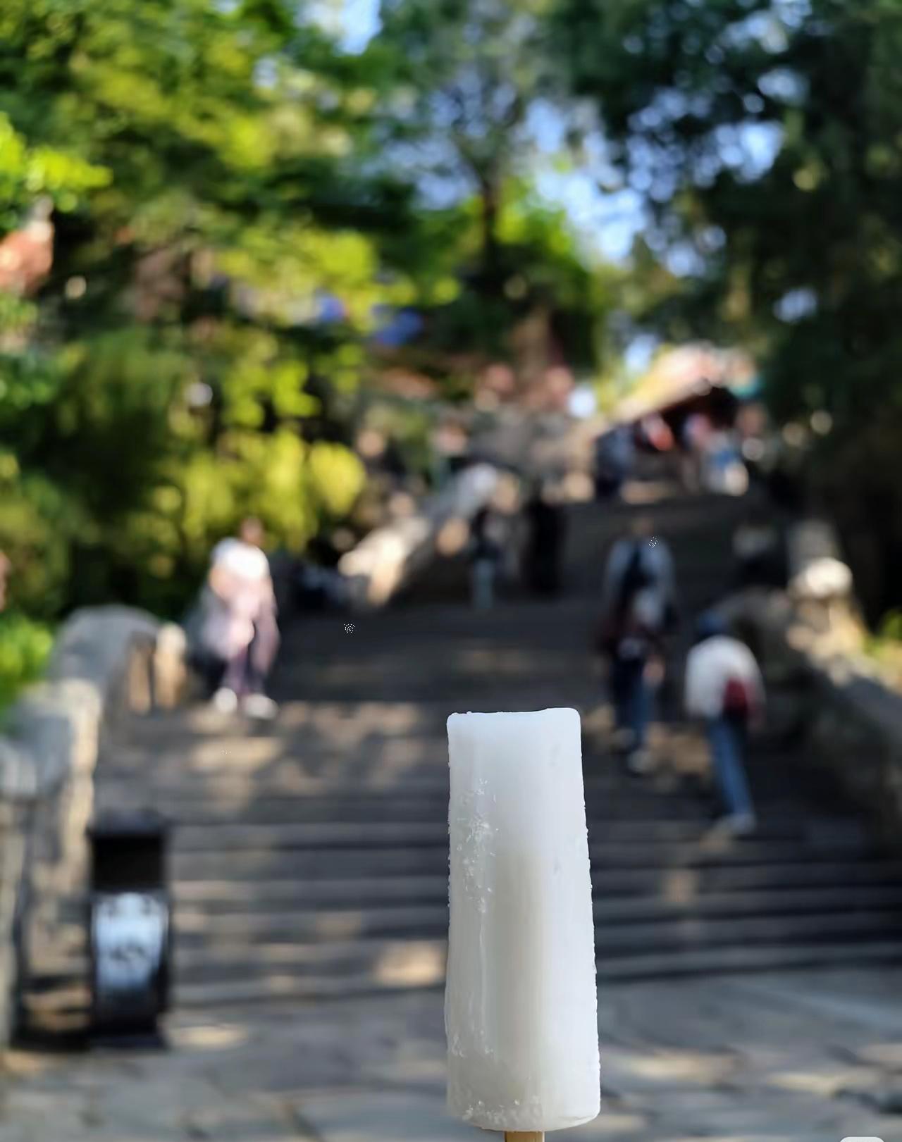 我美丽的大泰山，去年收入高达25亿元人民币，其中8亿门票收入上缴财政，那剩下的十