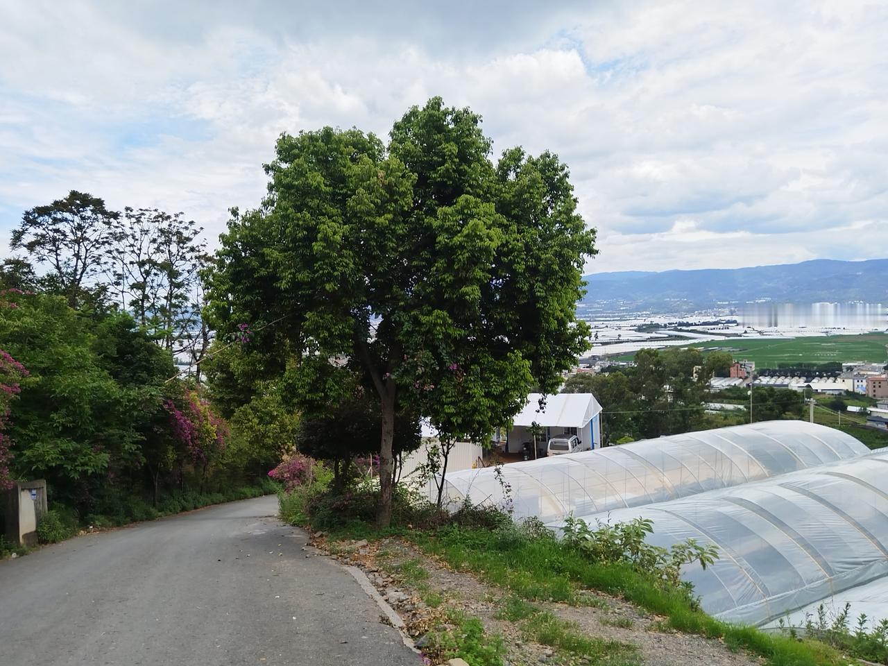 漂亮的风景美