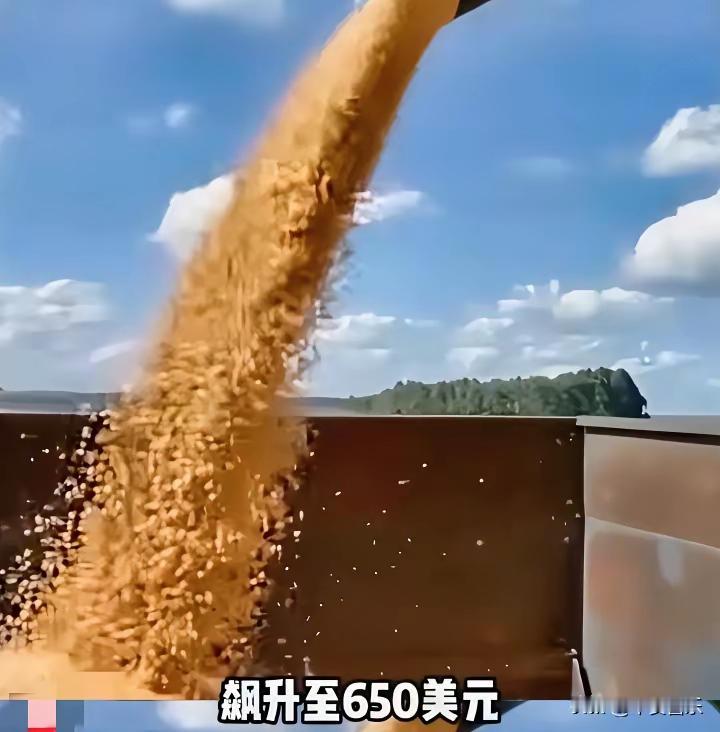这些伎俩我们5000年前就见过了!!破解巴西大豆涨价,根本不用打大动干戈,只需
