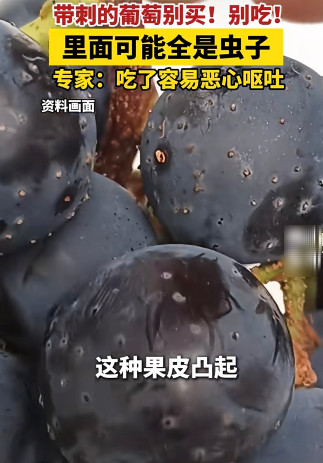 警惕, 这样的葡萄里面都是虫? 近期大量出现, 别随便吃