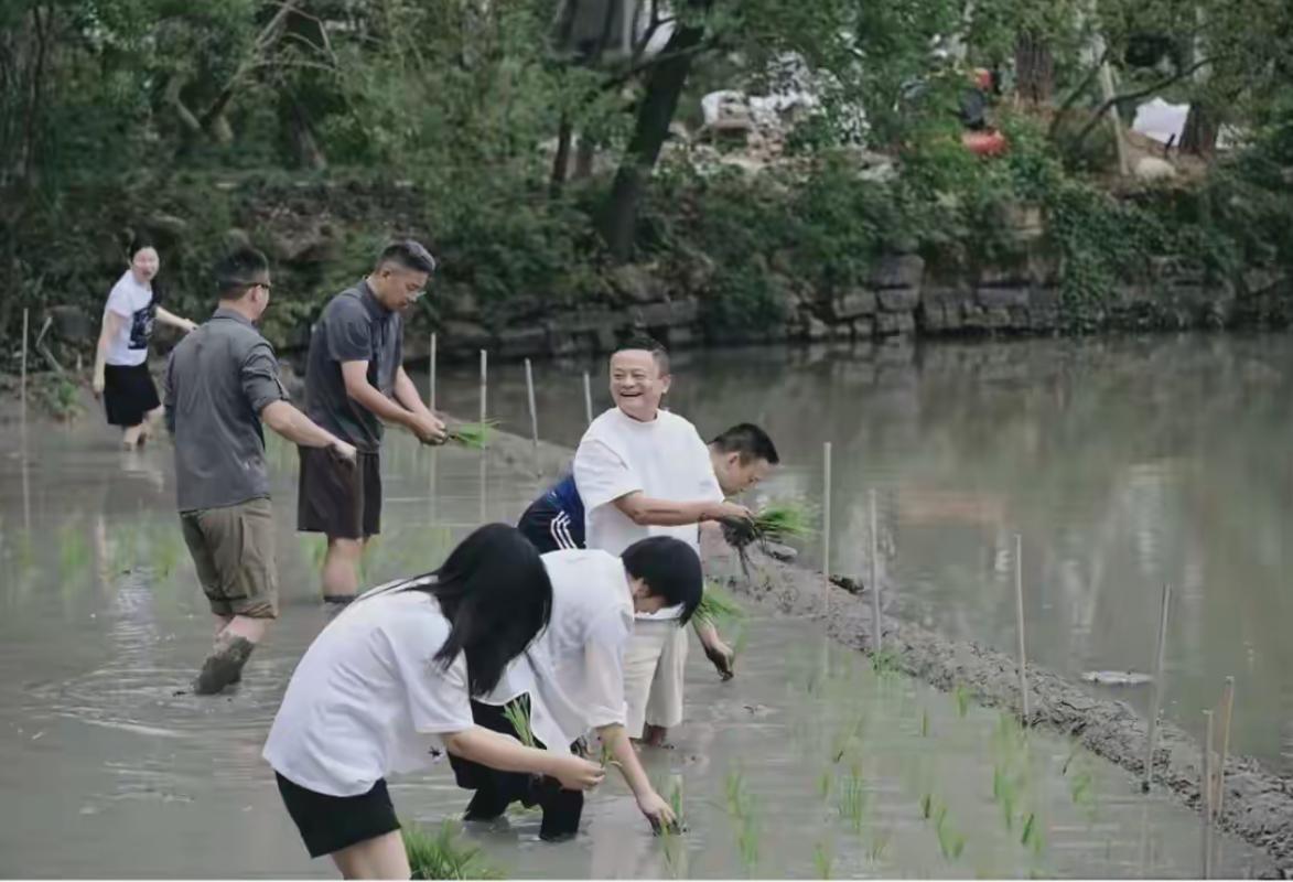 马云比雷军更懂得搞热度。雷军武汉街头吃热干面，马云直接下田插秧，一个比一个更会玩