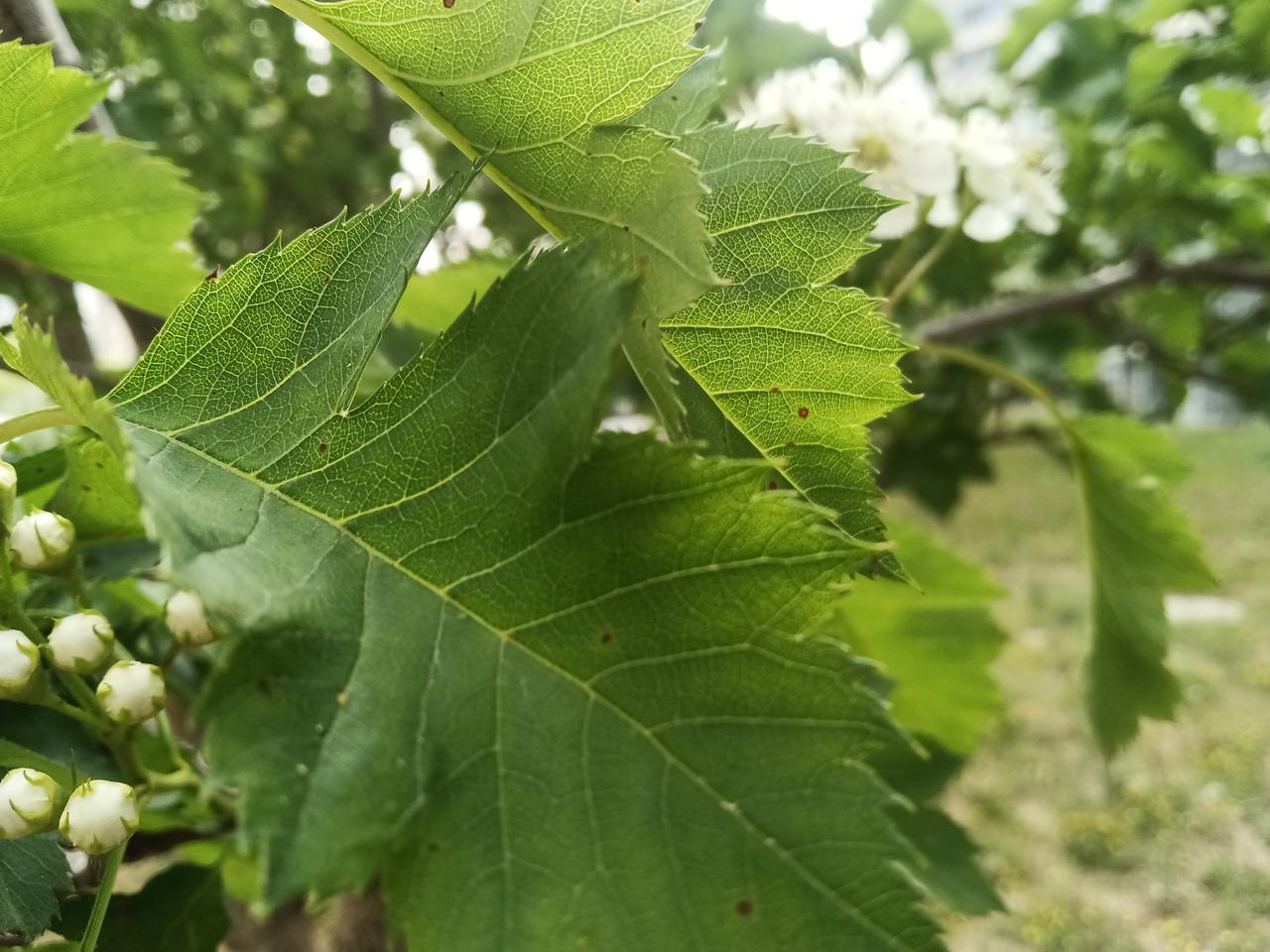 失眠抑郁痛苦不堪，各种办法都试过。我曾经说过身子感觉都快掏空了，居然还有的人不相