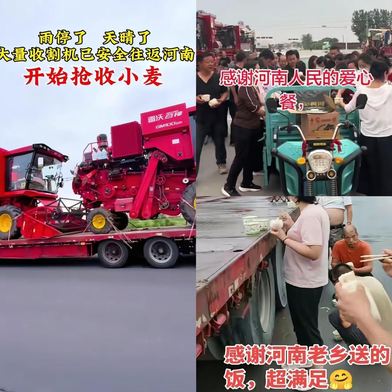 你敢信？河南麦收从不用愁收割机不够用！外省机手年年抢着往河南跑，这背后从不是巧合