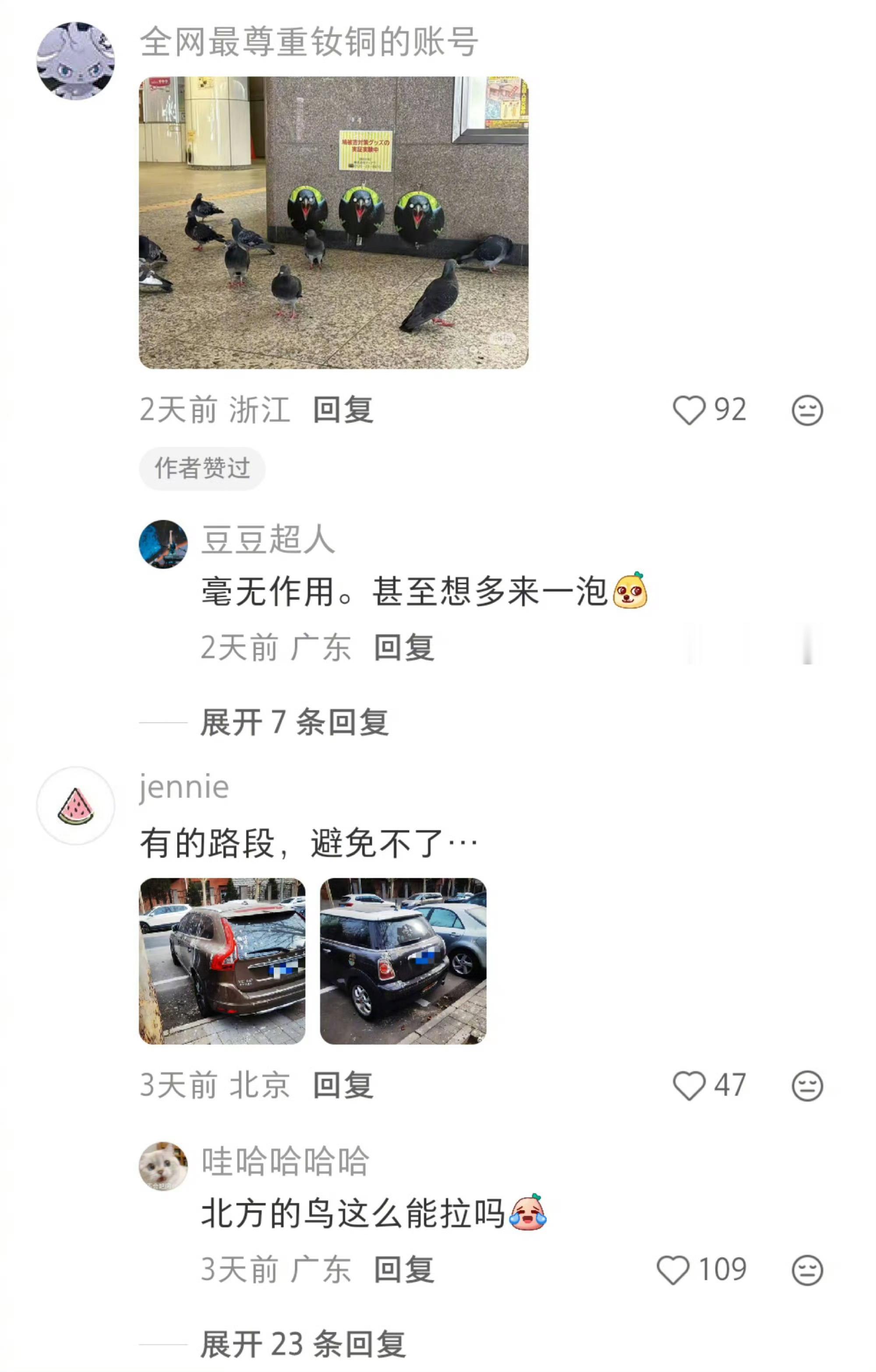 乌鸦：原来是白头鹰啊，失禁失禁