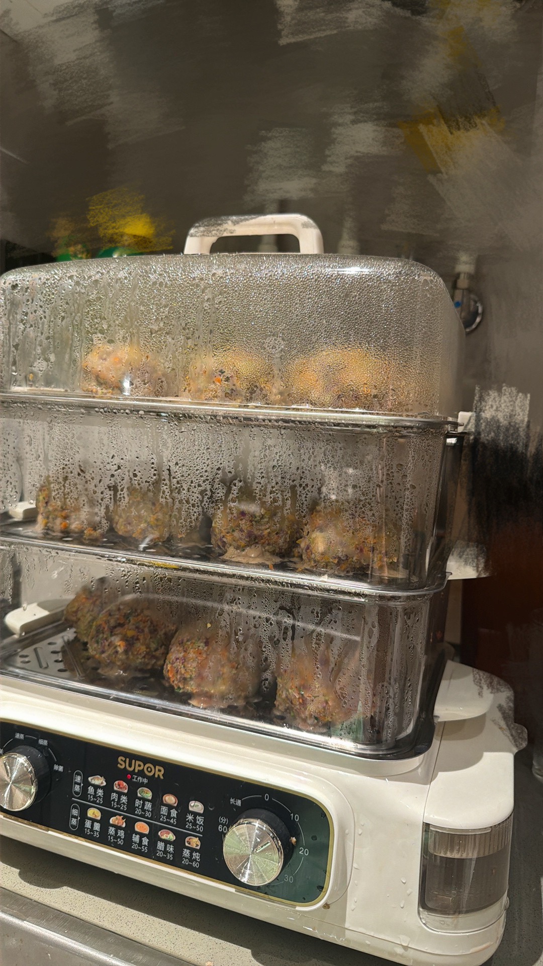 一边给小狗做饭一边看比赛