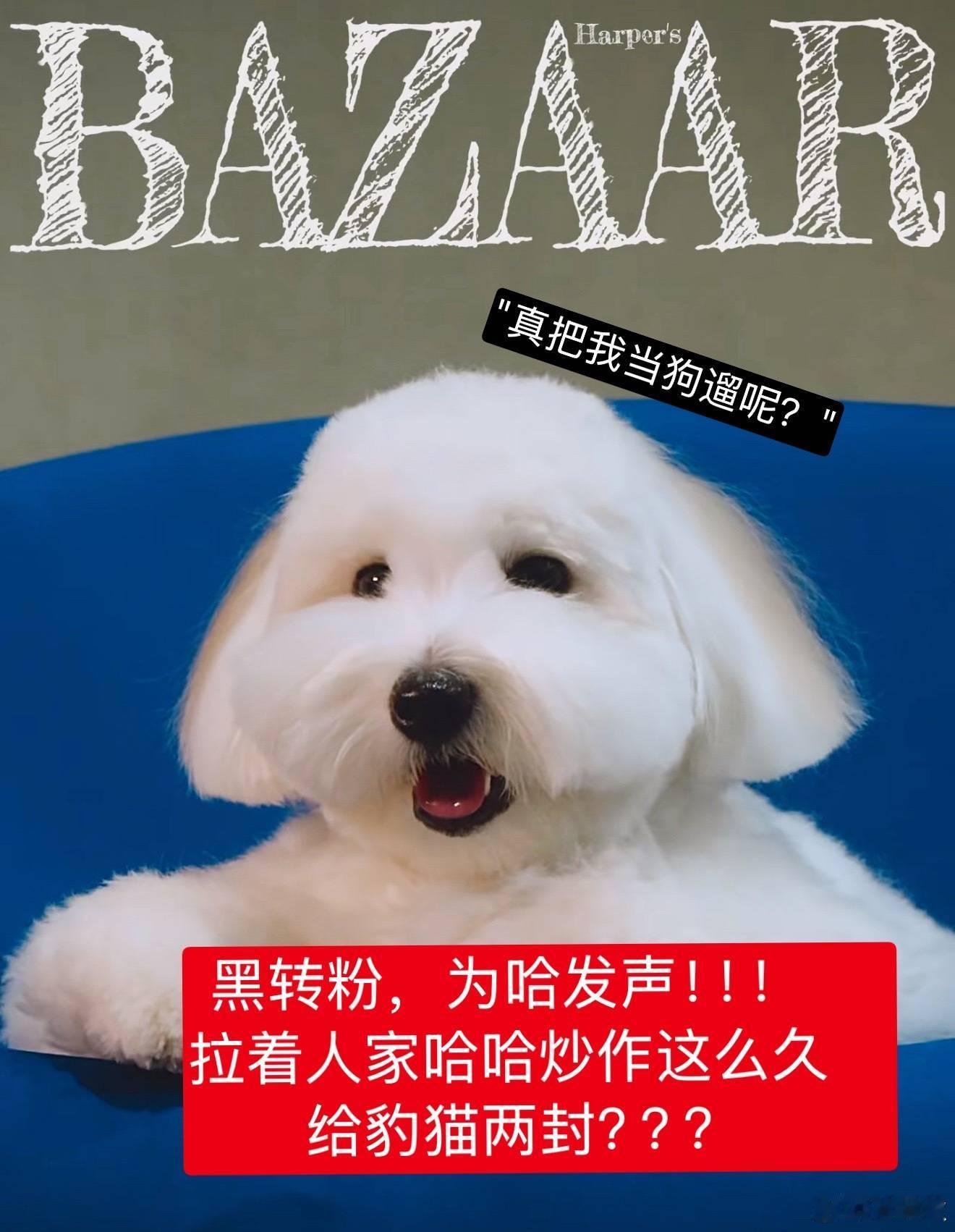 刘亦菲叫猫猫狗狗小朋友们笑死我了哈哈被溜了？