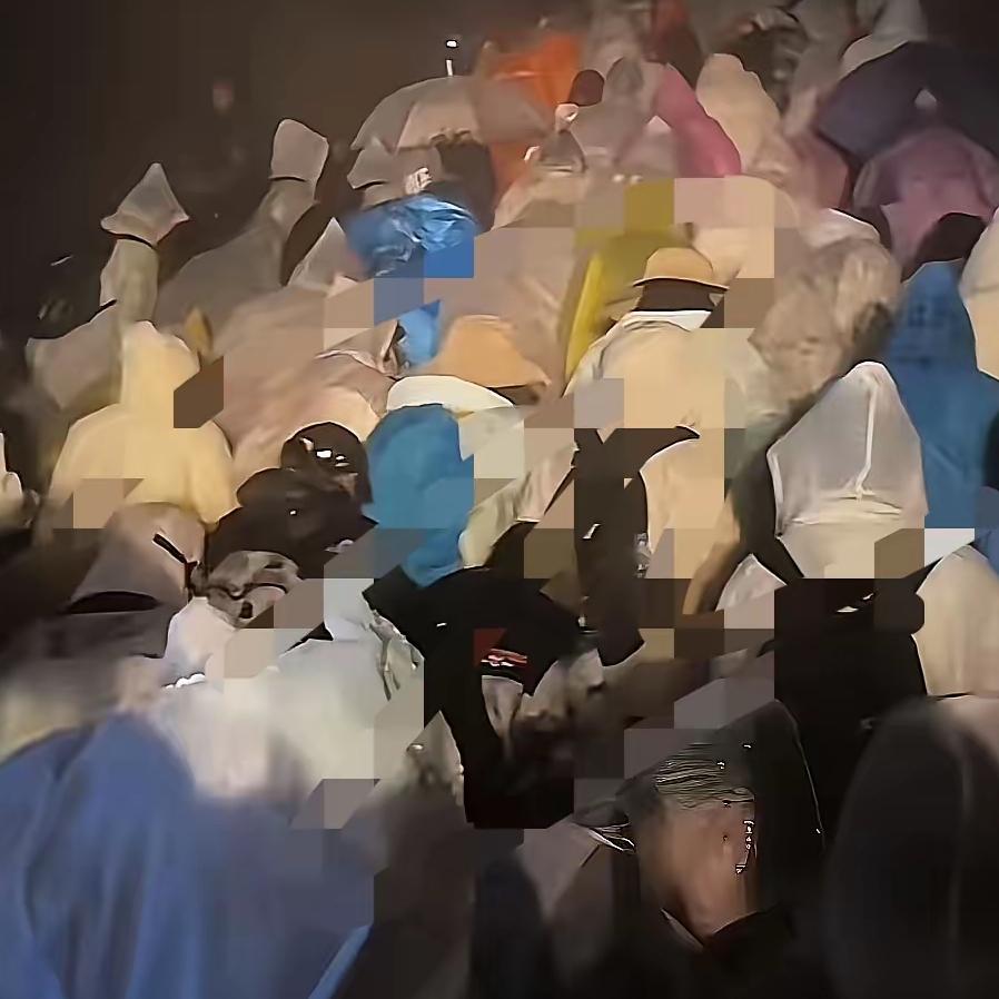 网上曝出17个人名后，宋老师直接成了大家的偶像。他团队把机密材料交给有关部门，这