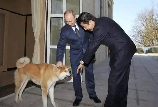 日本这是有多惧怕俄罗斯啊？12月9日，据《政治家》杂志的消息称：日本明确拒绝欧