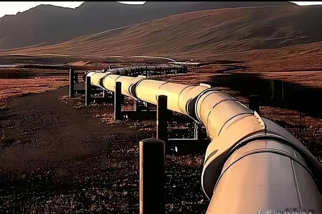 德国🇩🇪这下真要慌了。有知情人士爆料，俄罗斯已明确通知哈萨克斯坦和德国，从