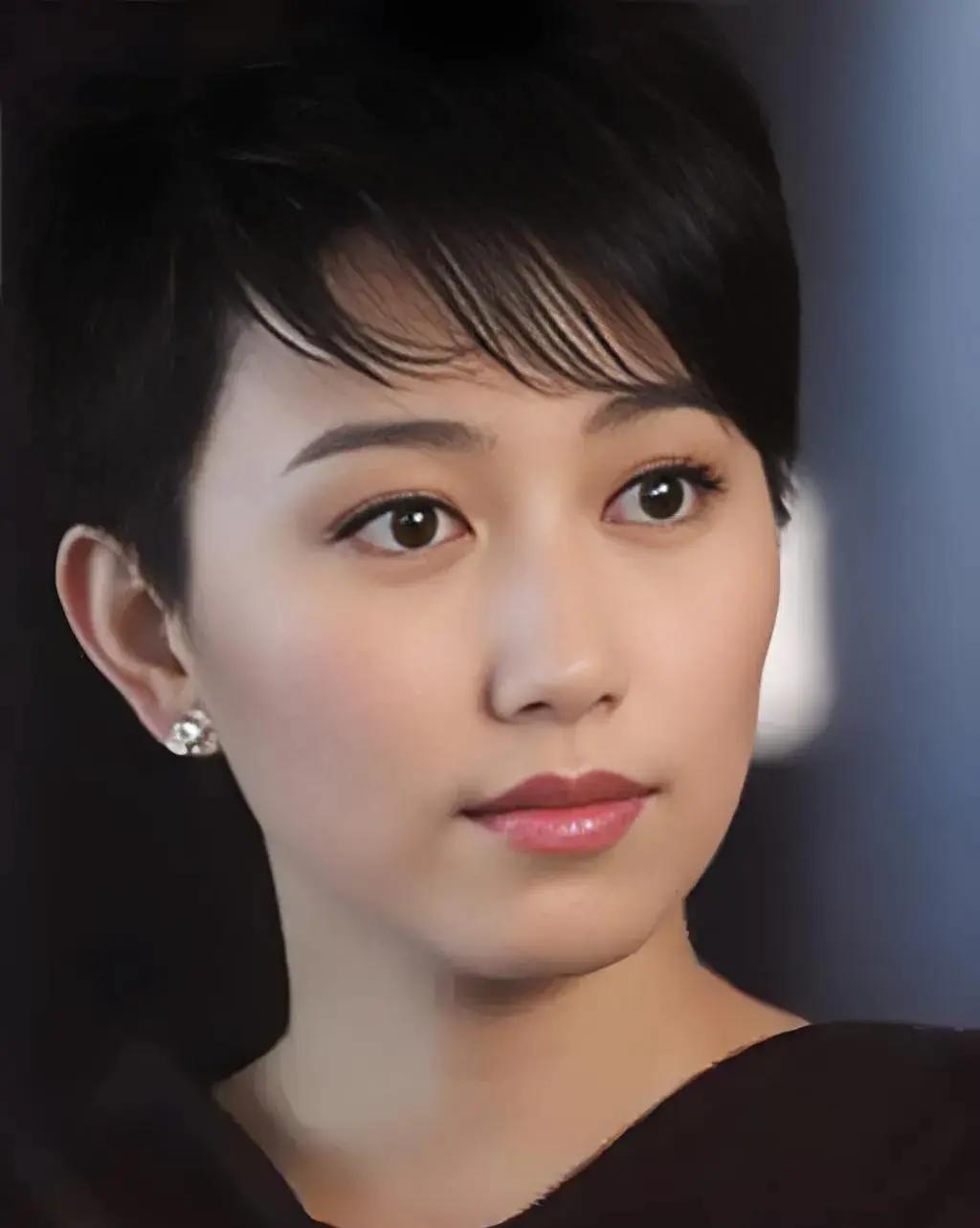 演员丁柳元说，我是1977年生人，父母都是高级工程师，早年间在北戴河农村插队，我