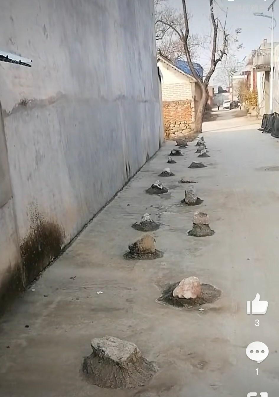 河南南阳堂河县，网友发视频吐槽:农村绝户坡会时不时的看到噶一次，但像这种的还是第