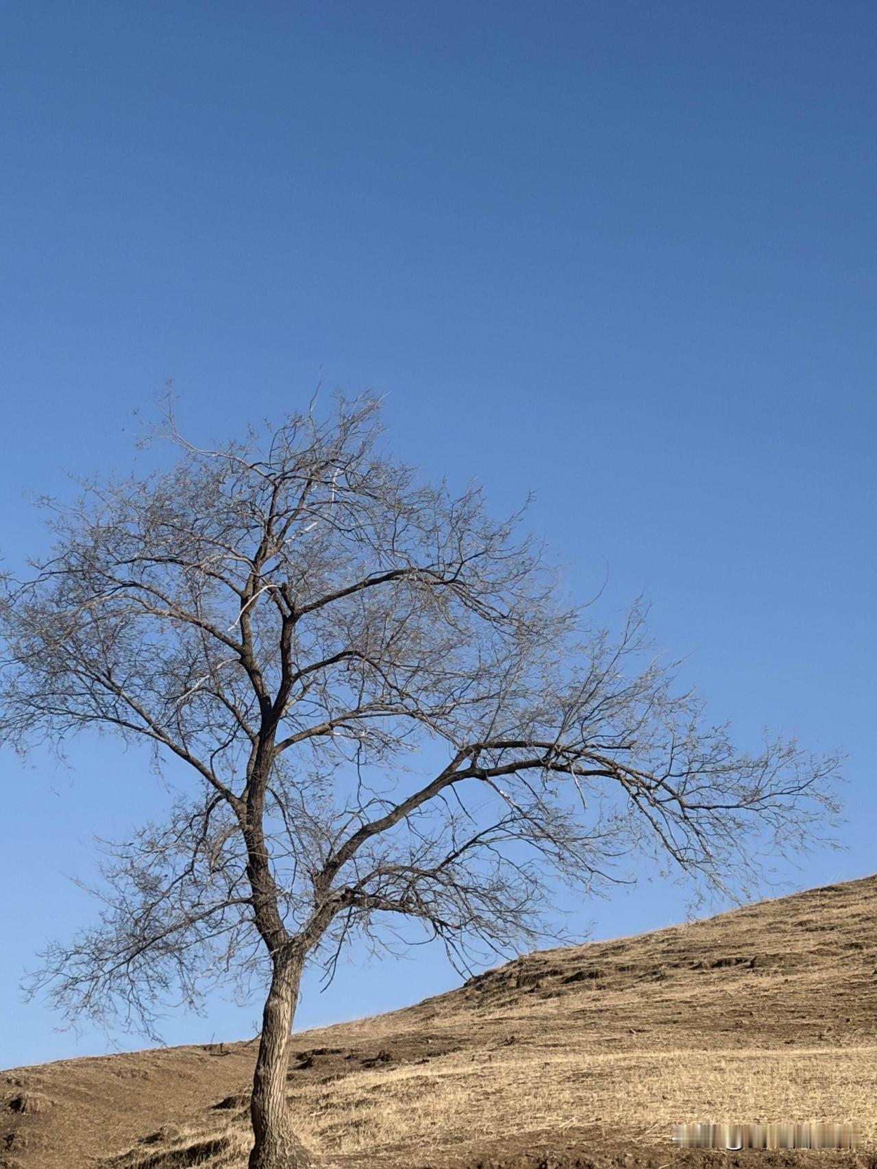 我哥是被我爸从小打到大，吊起来打，绑起来打，抽的浑身是血。有一次我哥被打的躲到床