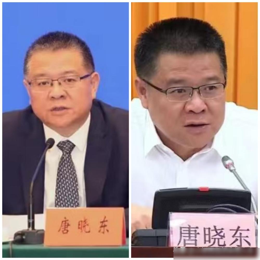 唐晓东，江苏常熟人，关于他的消息，有两点值得注意：一是他的履历挺扎实。199