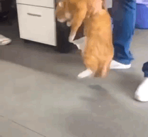 早，315到了，今天干谁