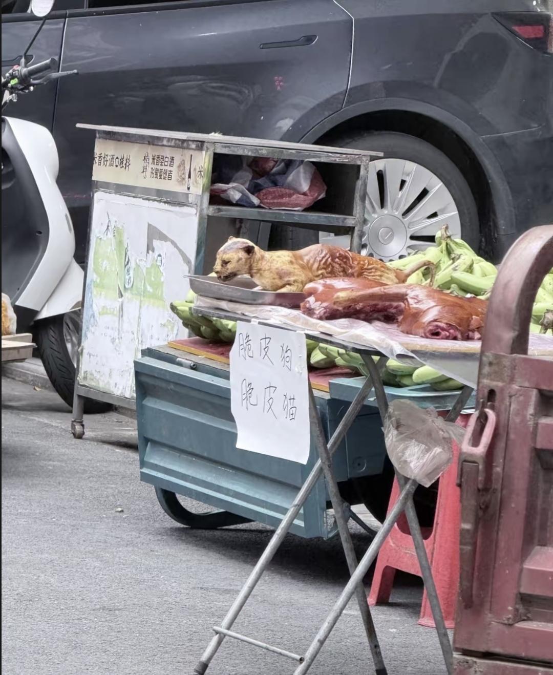 前天我去买菜，路边有个流动摊在卖烤肉。我一看以为是猪肉或者鸭肉，走近了看肉的样子