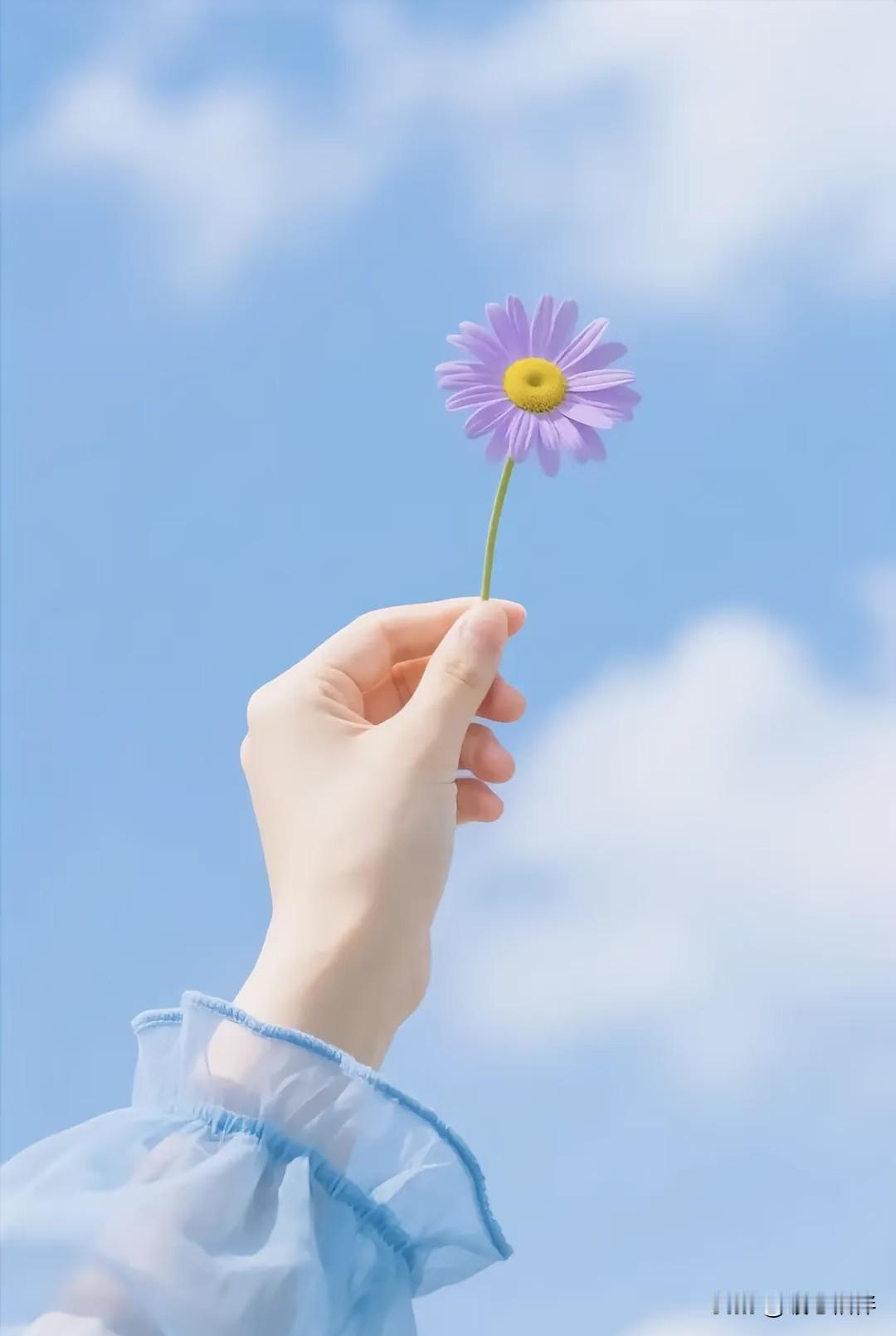 突然很羡慕单身的人，他们活出了自我，活出了自己想要的生活。像大冰，李娟，莫文