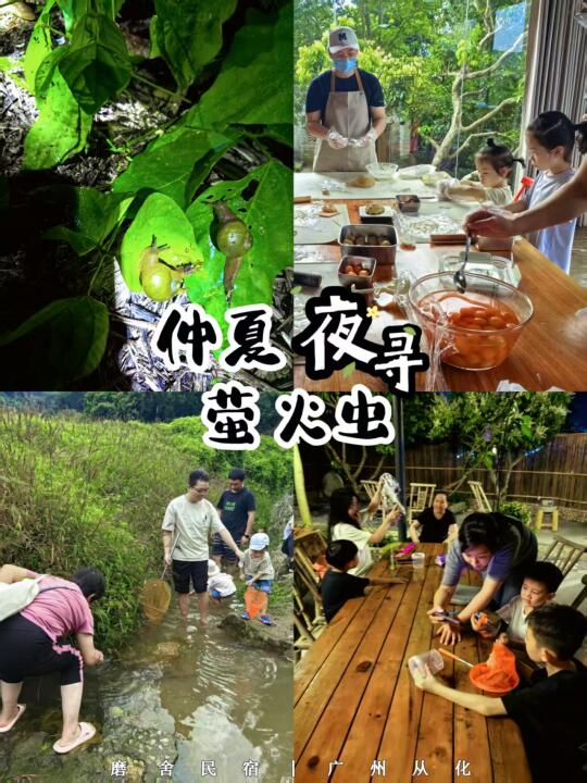 仲夏夜追寻萤火虫｜亲子自然奇遇