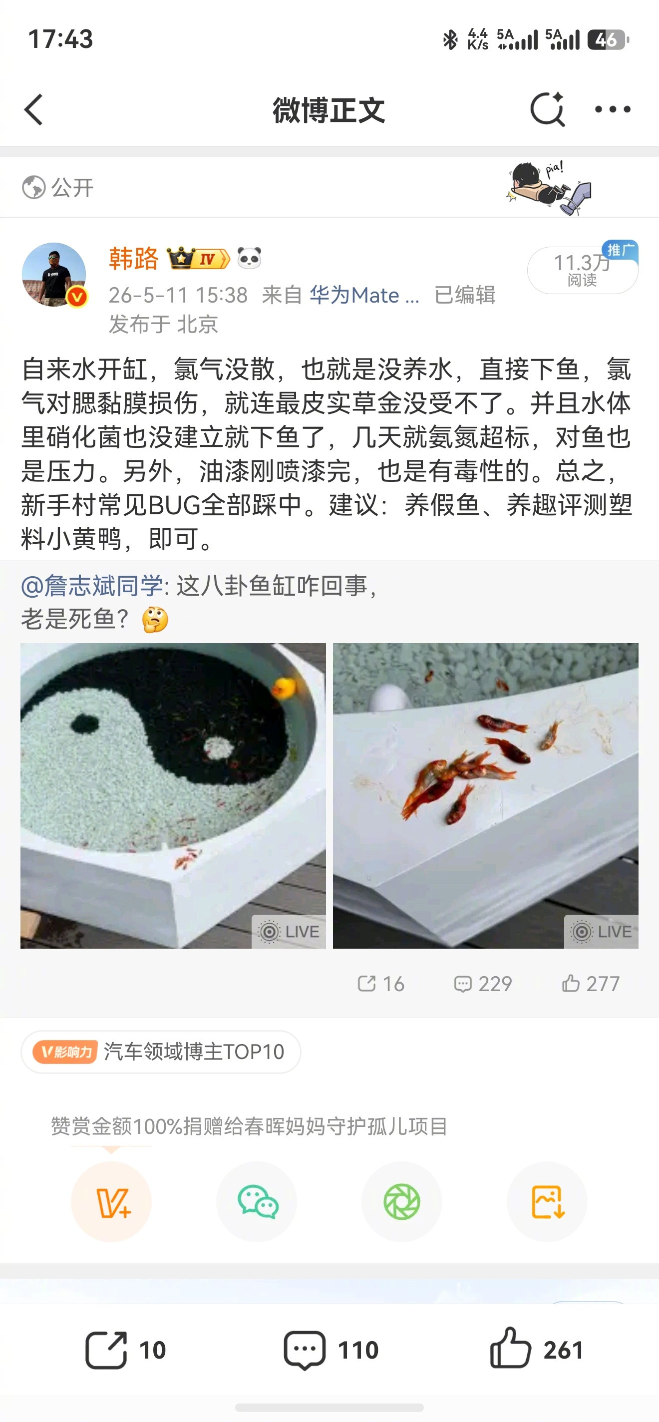 杰灵养鱼这个，我重新说，我仔细想了下，草金对于氯气耐受性很高，应该不是氯气的问题