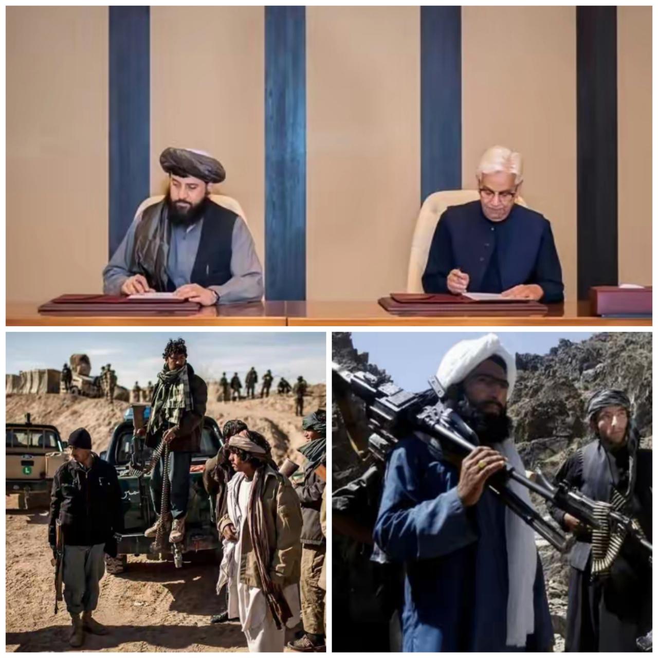 阿富汗塔利班一再声称不支持恐怖分子，但是也无法阻止阿富汗国民加入巴基斯坦塔利班，