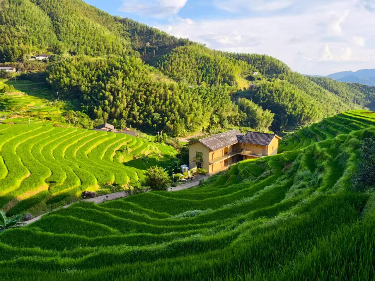 层叠梯田铺展山野，云雾漫过青山。在上堡，听见风穿过稻田的声音，治愈所有疲