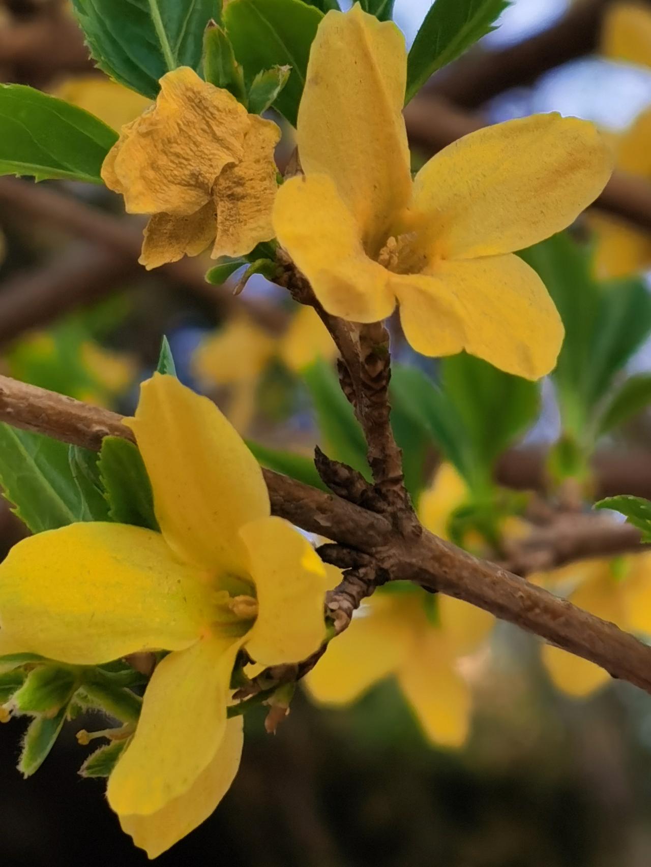 证券和保险是油门1、三天后的午后，市场终于踩了油门。证券和保险，股如其名，正而
