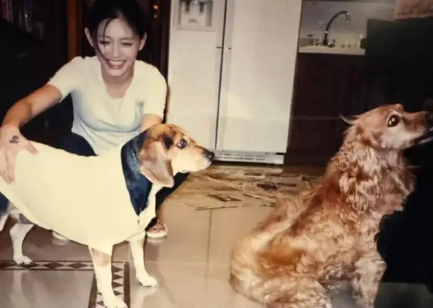 小S晒旧照怀念姐姐大S，徐熙媛低头抚摸爱犬眼底尽是温柔
