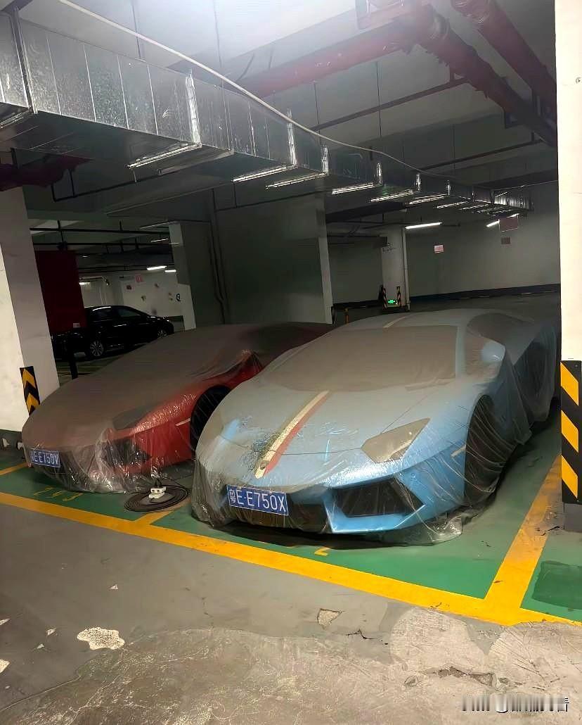 有钱人的世界搞不懂！自从2019年搬进小区里住之后，这两辆车就停在地下车库吃灰
