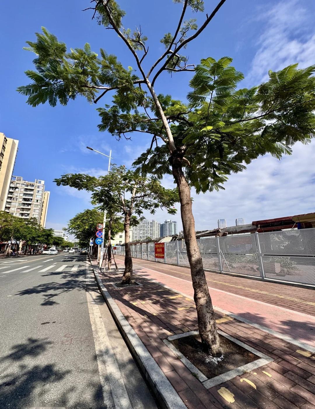 中山最近是在拆迁吗？？😂到处都在拆图1:今天想去乐新园喝茶发现拆了（桥岗村