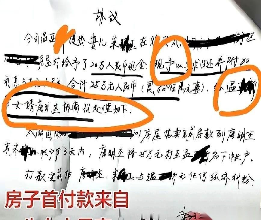 出轨女婿闹离婚，丈母娘当场拍桌：当年20万首付，连本带利还25万