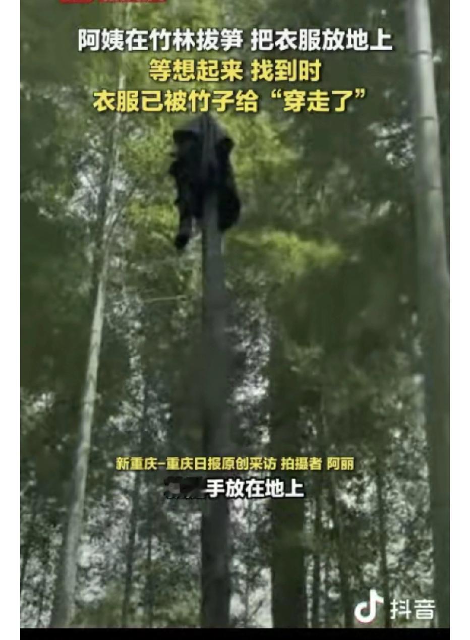 一阿姨在竹林挖笋，挖了一会有点热了就把外套脱了，随手放在了地上，回家时就忘了，没