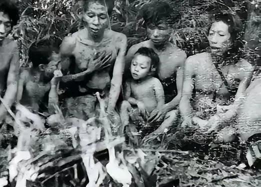 震惊！1956年深山现原始部落，苦聪人获新生路在1956年的云南哀牢山深处