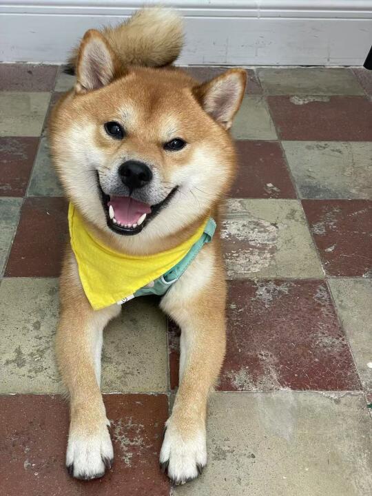 好久不更新！看看有没有ee在想我👀